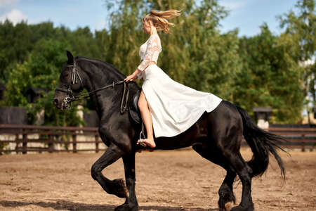 beautiful young woman with a black horseの写真素材