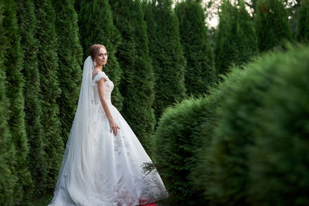 Romantic, fairytale, happy newlywed couple hugging and kissing in a park, trees in background,...