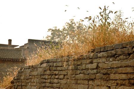 Old Chinese rural brick wall with  ears on the top.の写真素材