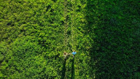 Aerial drone footage, young people run across the fieldの写真素材