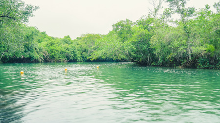 Landscape of green water and forest around Formoso river in Bonito MS, Brazil. River visited by tourists that want to practice a eco tour and aquatic adventures.の写真素材
