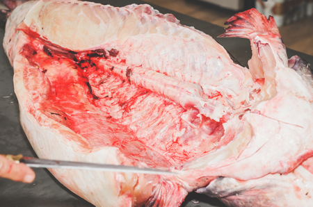 Cleaning the fish and cutting it. Hands of a fishmonger slicing Pintado fish. Pintado fish cutted in...
