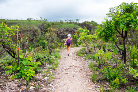 CapitÃ³lio - MG, Brazil - December 08, 2020: Tourist walking on the trail of the woods of the Cerrado Mineiro, eco tourism at Trail of the Sun. Trilha do Sol in portuguese.のeditorial素材