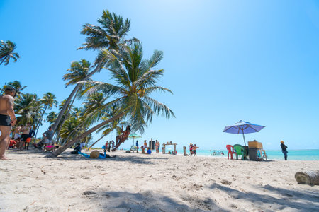 Maragogi, AL, Brazil - October 17, 2021: people taking photos on the crooked coconut trees.のeditorial素材