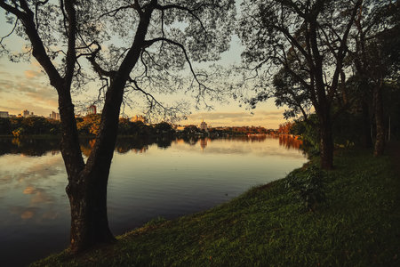 Beautiful landscape at the end of the afternoon on the shore of Ipago Lake of Londrina city, Parana, Brazil.の写真素材