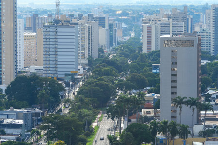 Aerial view of Campo Grande MS, Brazil at Afonso Pena Avenue, the main avenue of Campo Grande city.の写真素材