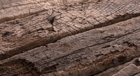 Natural textured old wooden grunge wooden background の写真素材
