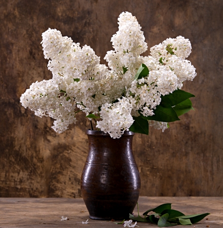 Still life with a blooming branches of lilacの写真素材