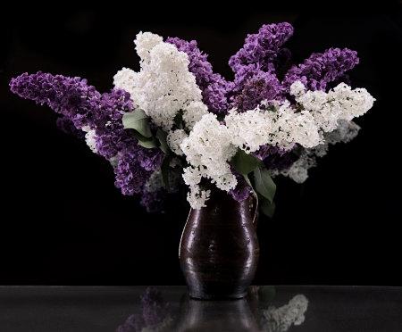 Still life with a blooming branches of lilacの写真素材