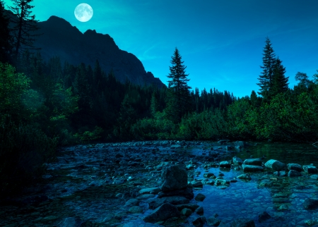 Mountain river in High Tatras, Slovakia at nightの写真素材