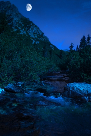 Mountain river in High Tatras, Slovakia at nightの写真素材