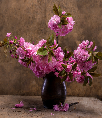 Sakura in a vase on a wooden backgroundの写真素材