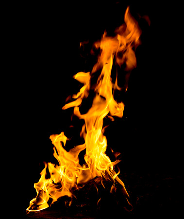 Orange fire flames on a black background