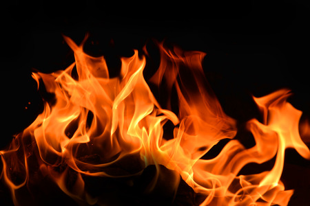Orange fire flames on a black background