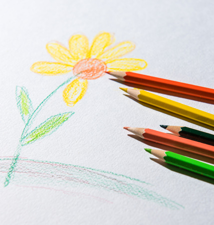 Coloring pencils and sketched drawing of flowersの写真素材