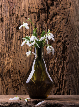 Bouquet of beautiful spring first flowers snowdrops in vase on a wooden backgroundの写真素材