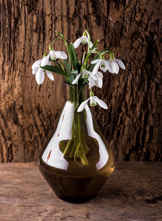 Bouquet of beautiful spring first flowers snowdrops in vase on a wooden backgroundの写真素材