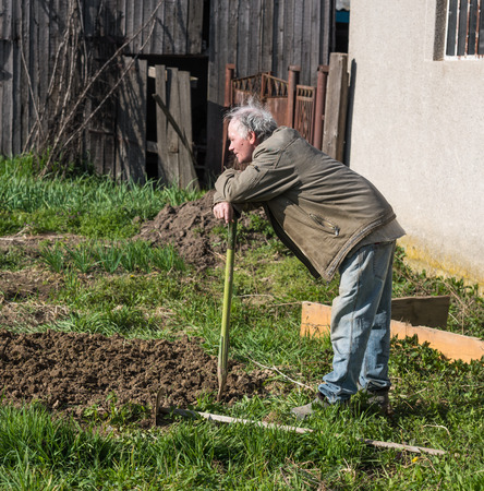 Poor farmer hoeing vegetable garden in springtimeの写真素材