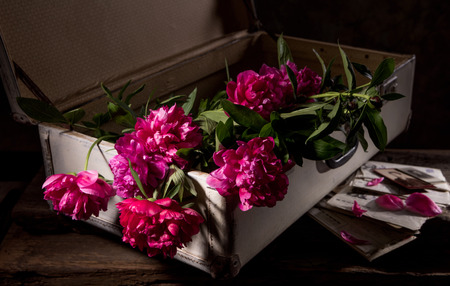 Artistic still life with peonies in old suitcase, old pics and lettersの写真素材
