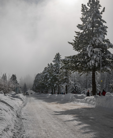 HIGH TATRAS, SLOVAKIA - FEBRUARY 11, 2018: Road the Strbske pleso in High Tatras in Slovakia.  Fir trees under the snow. Winter landscape のeditorial素材