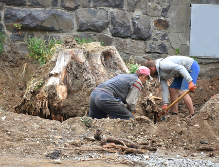 Workers  used to dig up tree-stumps and roots in the city.のeditorial素材