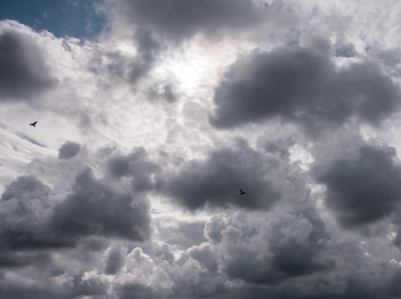 Dramatic sky with beautiful big clouds. Silhouettes of pigeons