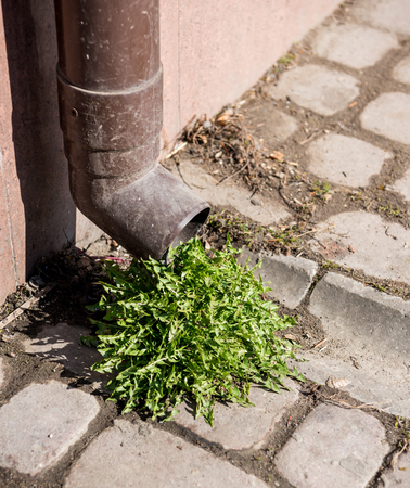 Close up of metal drainpipe of a country houseの写真素材