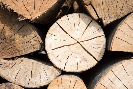 Pile of wood logs ready for winter. Wood logs texture background