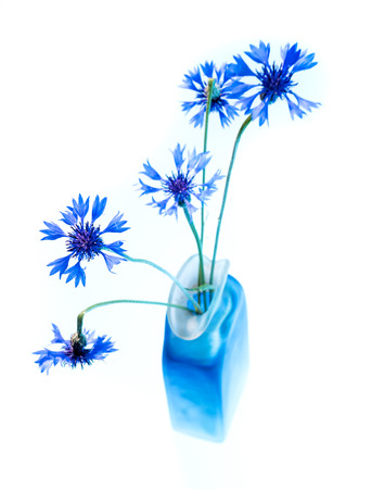 Artistic still life with beautiful blue cornflowers in vaseの写真素材