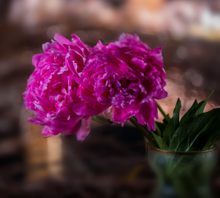 Artistic still life with pink peonies in vase on a dark backgroundの写真素材
