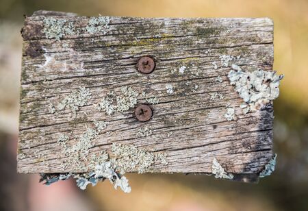 Old  element of wooden decor outdoors.Abstract wooden background
