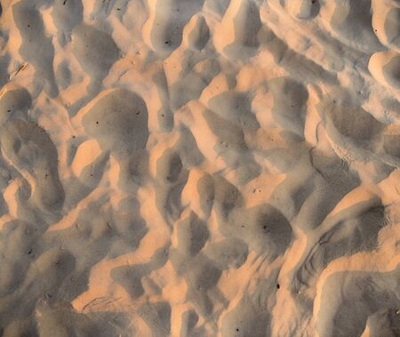 Sand background texture.Sandy backdrop ready for design