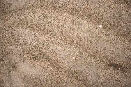 Ripples in wet sand background texture. Beach sand background. Dunes on the sea shore