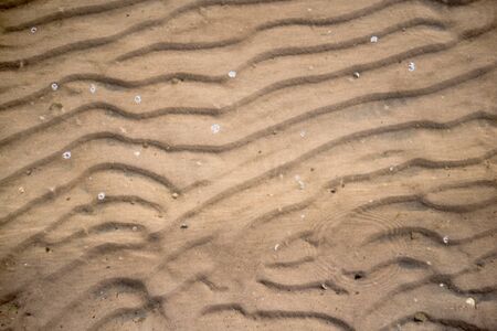 Ripples in wet sand background texture. Beach sand background. Dunes on the sea shore