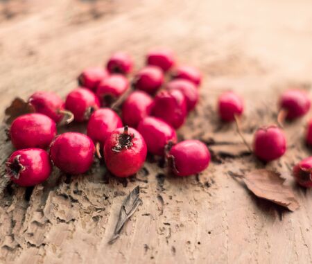 Red hawthorn berries on a wooden background. Autumn berriesの写真素材
