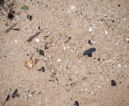 Sand background texture.Sandy backdrop ready for design. Sea piece of stone on sand