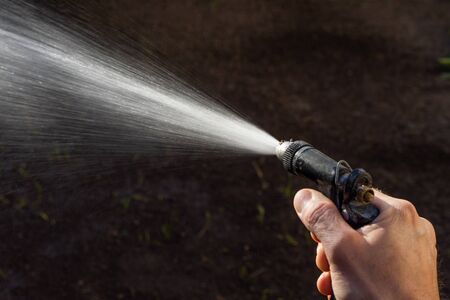 Man watering backyard lawn using hosepipe in sunny day