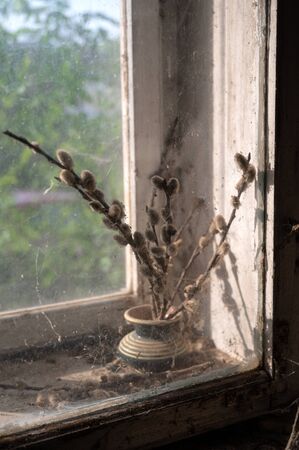 Rustic still life on the windowsill in abandoned old house. Willow branch in vase の写真素材