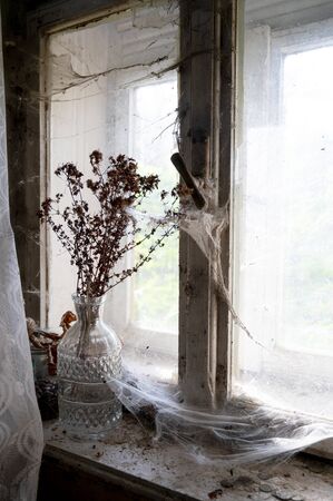 Rustic still life on the windowsill in abandoned old houseの写真素材