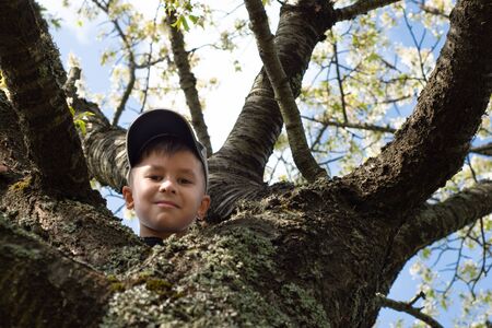 Portrait of a boy posing on a tree outdoors