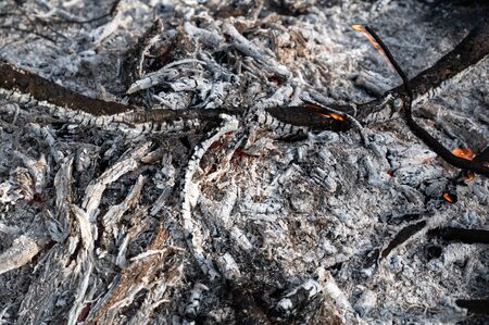 Smoldering ashes of a bonfire. Incandescent orange embers texture