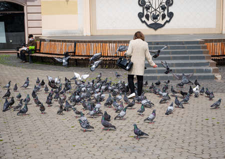 UZHHOROD, UKRAINE - MAY 07, 2020: Woman feeding pigeons in the square in the downtown of the city Uzhhorod, Ukraineのeditorial素材
