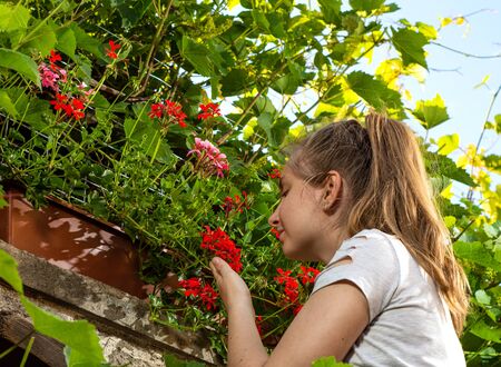 Beautiful teen girl smelling flowers in the garden in summer sunny dayの写真素材