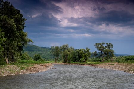 Summer landscape. Mountain river in the forest