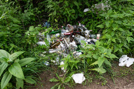 Garbage in the forest. People illegally throwing garbage into the forest. Illegal garbage dump in...