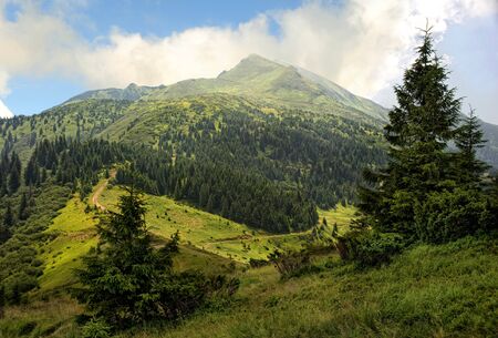 Mountain landscape, sunset in the Carpathians in summer
