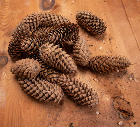 Lot of pine cones on a wooden nackground
