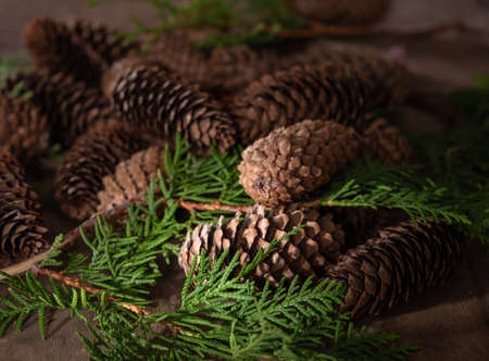 Fir cones background. Fir cones for christmas decoration