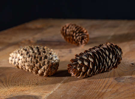 Three fir cones on a wooden table