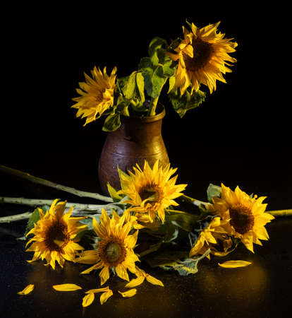 Beautiful bouquet of sunflowers in vase on a black table over black background. Autumn still lifeの写真素材